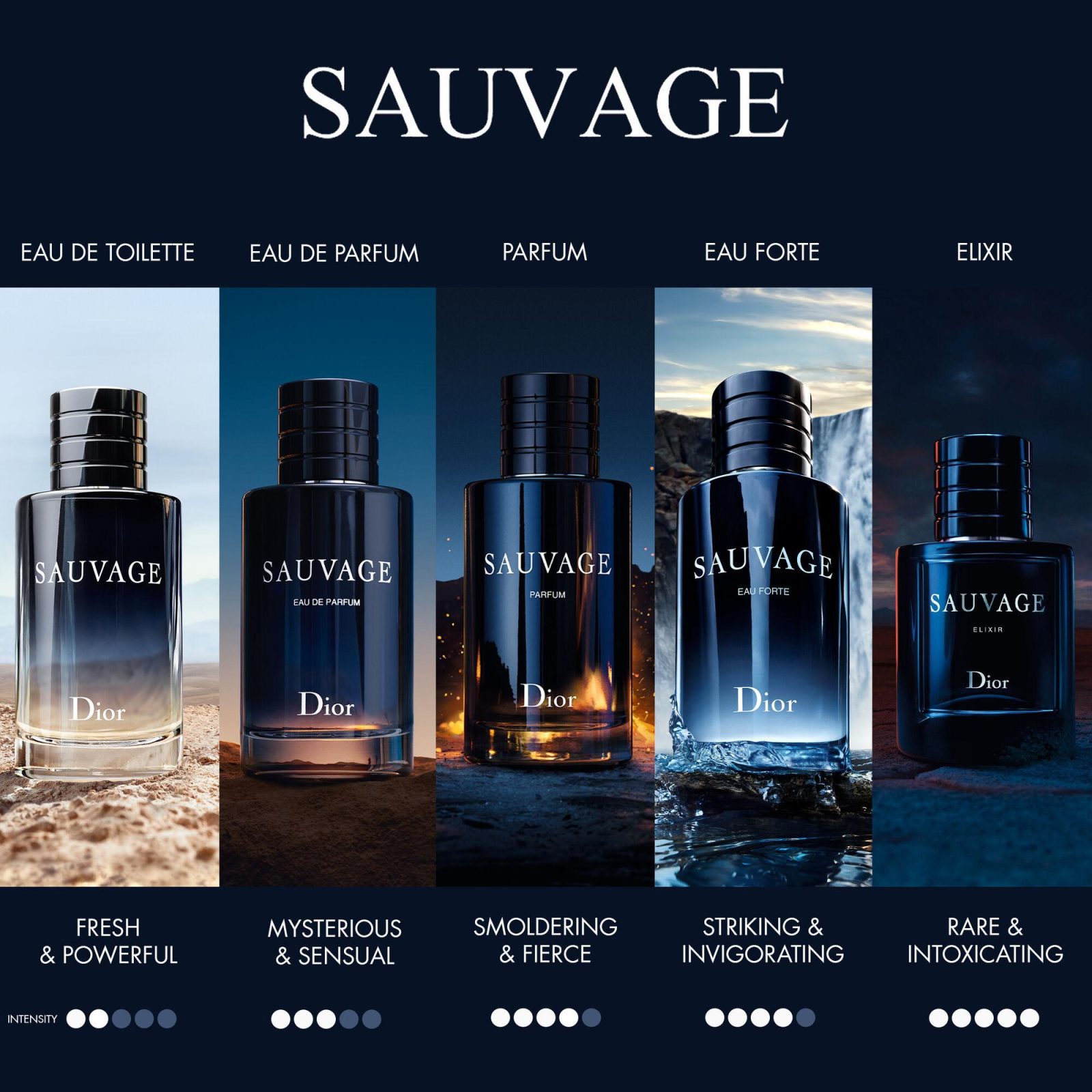 sauvage 4